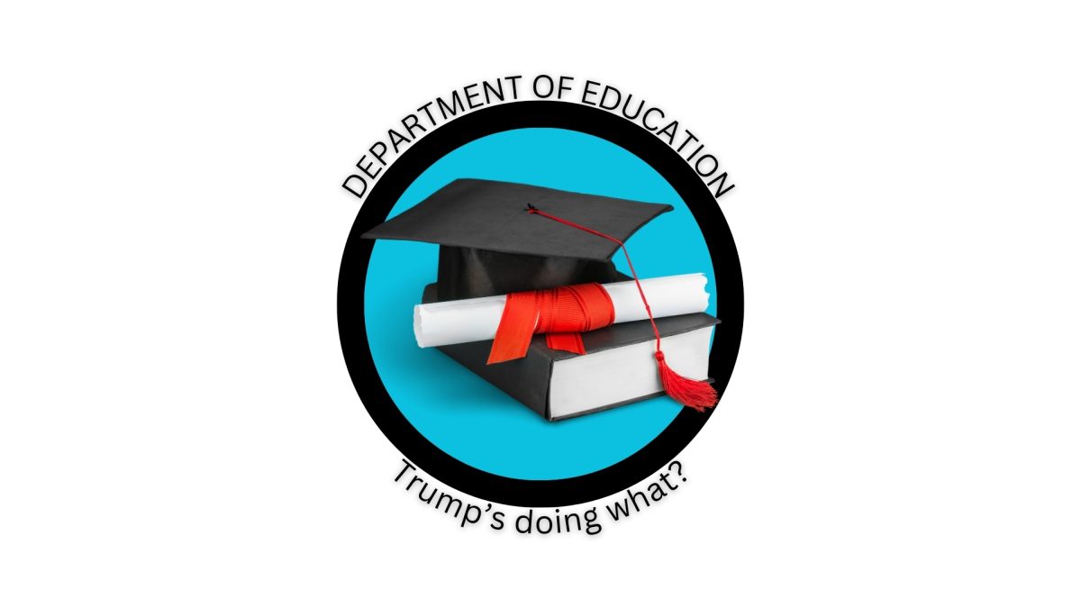 The effects of the removal of the Department of Education