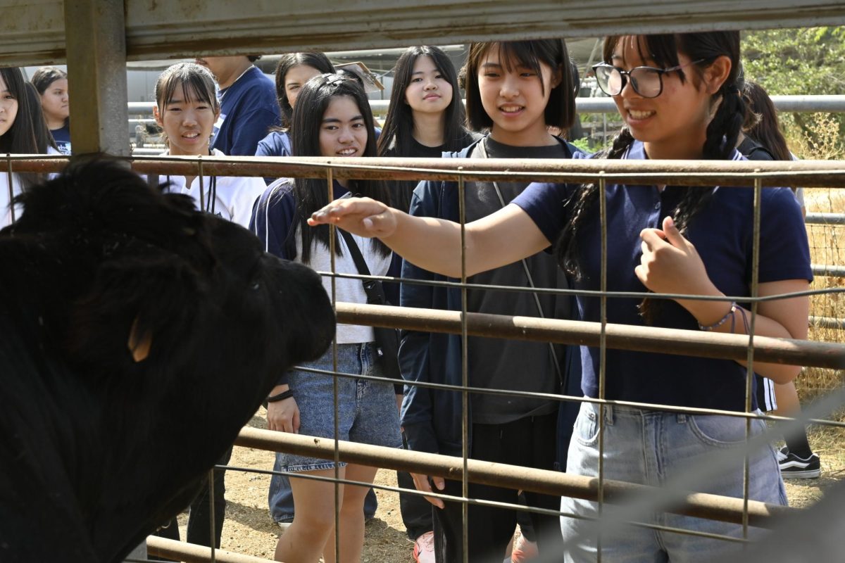Okinawa Students Visit Norte Vista Campus