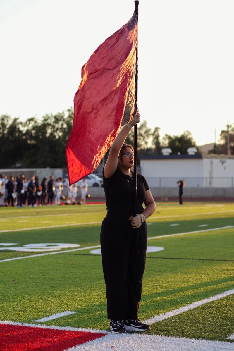 ON THE SIDELINES: WEEKLY RECAP