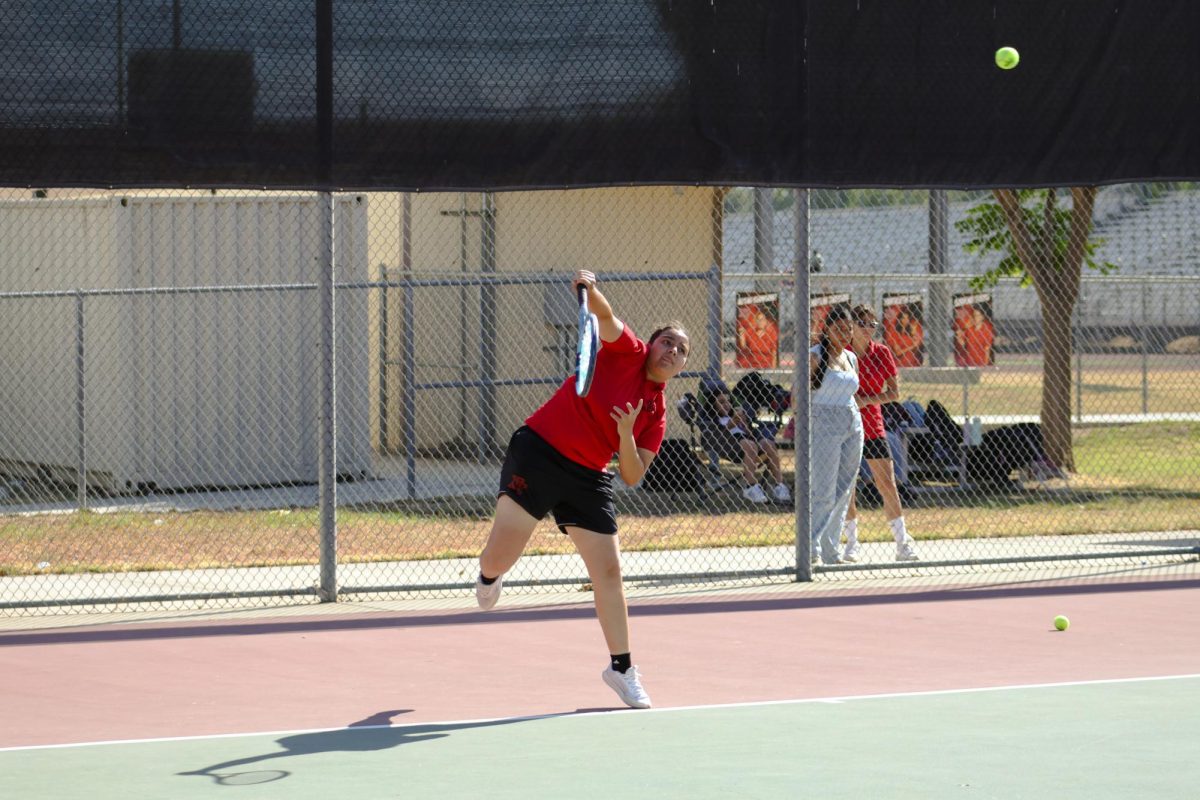 Novi Athletic Recap